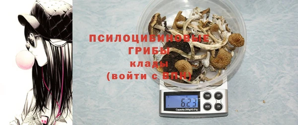 apvp Вязники